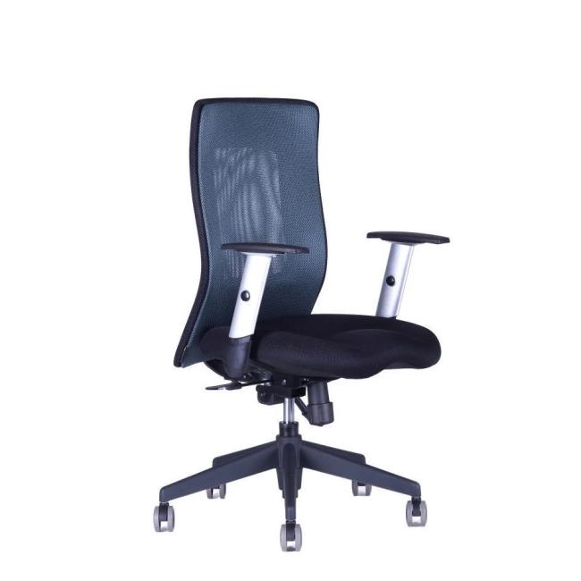 Bürostuhl CALYPSO XL BP anthrazit