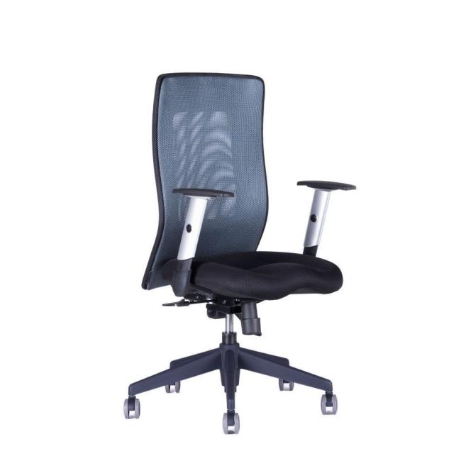 Bürostuhl CALYPSO GRAND BP anthrazit