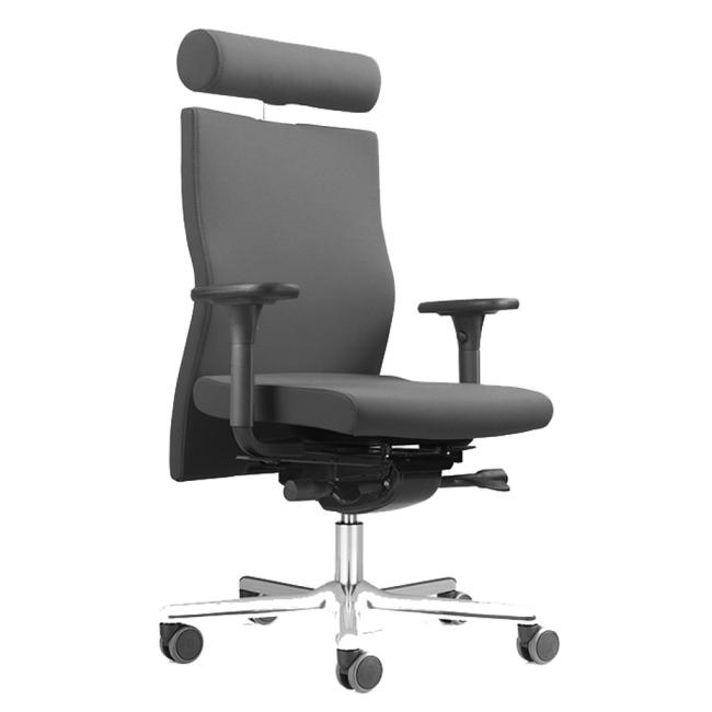 [OF350001] Balancestuhl LÖFFLER Lezgo LZ 73, A31 grau