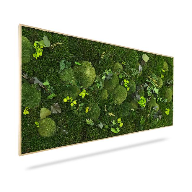 [BE000007] Moosbild „Pflanzen des Waldes“, 100 x 50 cm, schwarzer Holzrahmen