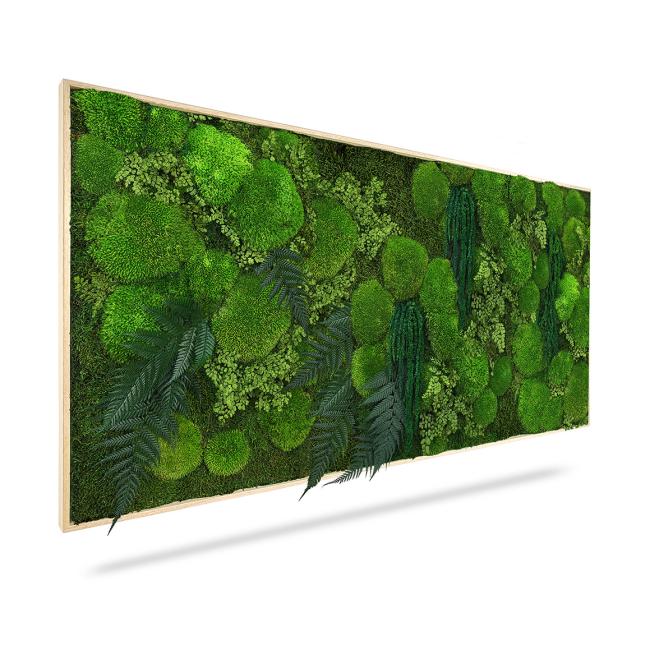 [BE000009] Moosbild „Pflanzen Moreilo“, 60 x 40 cm, schwarzer Holzrahmen