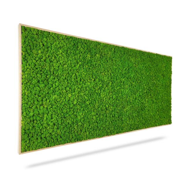 [BE000010] Moosbild LICHEN mono GREEN, 140 x 60 cm, weißer Holzrahmen