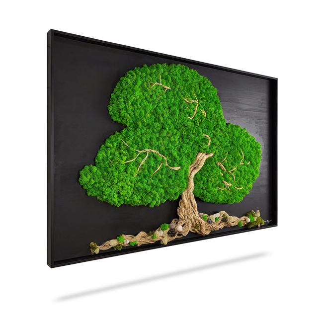 [BE000012] Moosbild „Baum Arles“, 120 x 60 cm, schwarzer Holzrahmen
