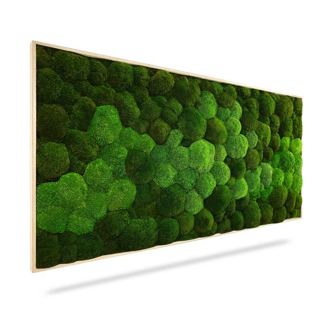[BE000015] Moosbild Duo Naturgrün, 160 x 60 cm, schwarzer Holzrahmen