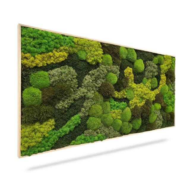 Moosbild ORTHO TELDE, 100 x 60 cm, weißer Holzrahmen