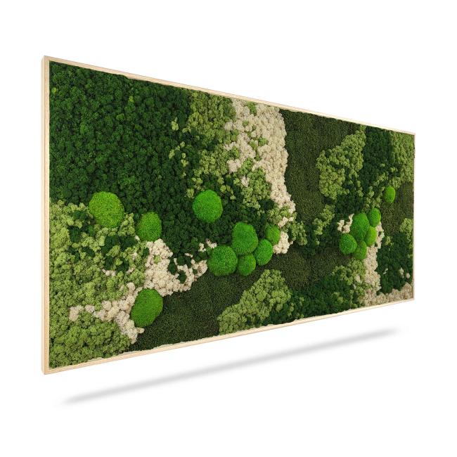 [BE000017] Moosbild ORTHO FOREST, 40x40cm, schwarzer Holzrahmen