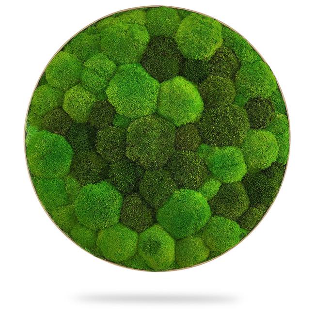 [BE000021] Moosbildkreis DUO LIGHT, Durchmesser 65 cm, Eichenrahmen