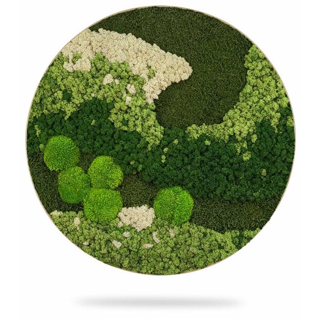 [BE000023] Moosbildkreis ORTHO FOREST, Durchmesser 55 cm, Eichenrahmen