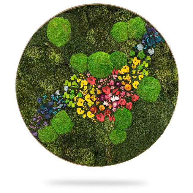 [BE000024] Moosbildkreis PLANTS Acebo, Durchmesser 65 cm, Eichenrahmen