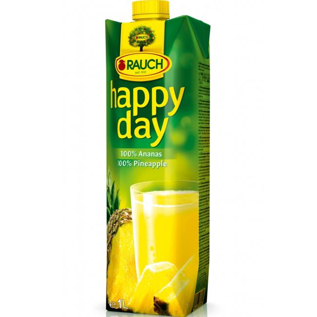[PT300500] Happy Day Ananassaft 100% 1 l