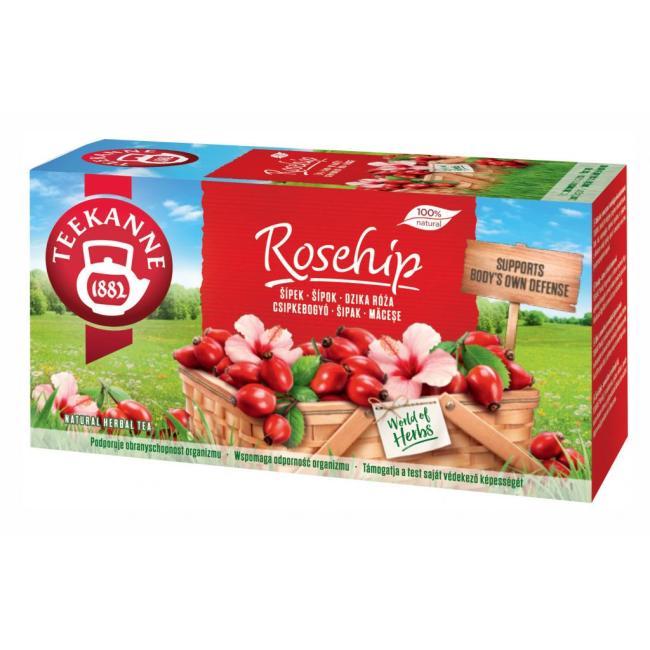 [PT604540] TEEKANNE Kräutertee Hagebutte HB 20 x 2,7g