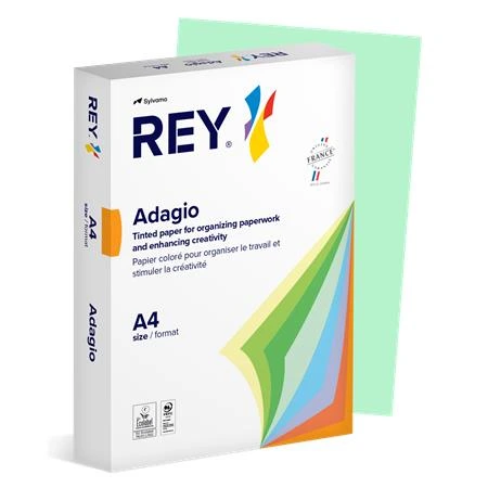 [LIPAD48PZ] Kopierpapier, farbig, A4, 80 g, REY „Adagio“, Pastellgrün