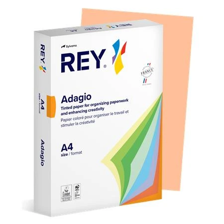 [LIPAD48PL] Kopierpapier, farbig, A4, 80 g, REY „Adagio“, Pastelllachs
