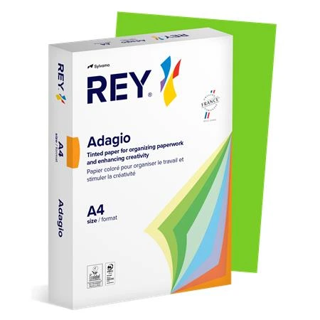 [LIPAD48IZ] Kopierpapier, farbig, A4, 80 g, REY „Adagio“, intensives Grün