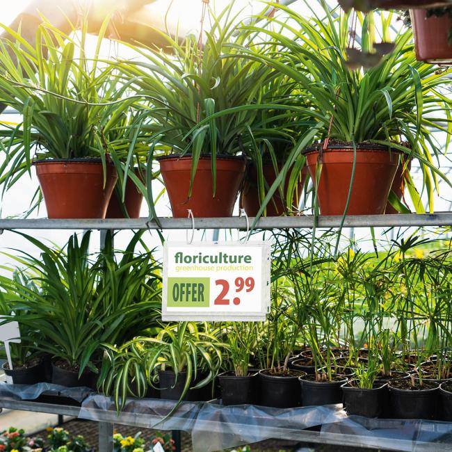 [DU505919] Wasserdichte Tasche mit Tragegriffen, strapazierfähig, A5, 5 Stück