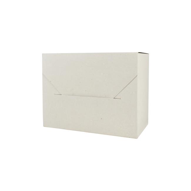 Archivbox EMBA Typ II/390 R:180x390x290 mm