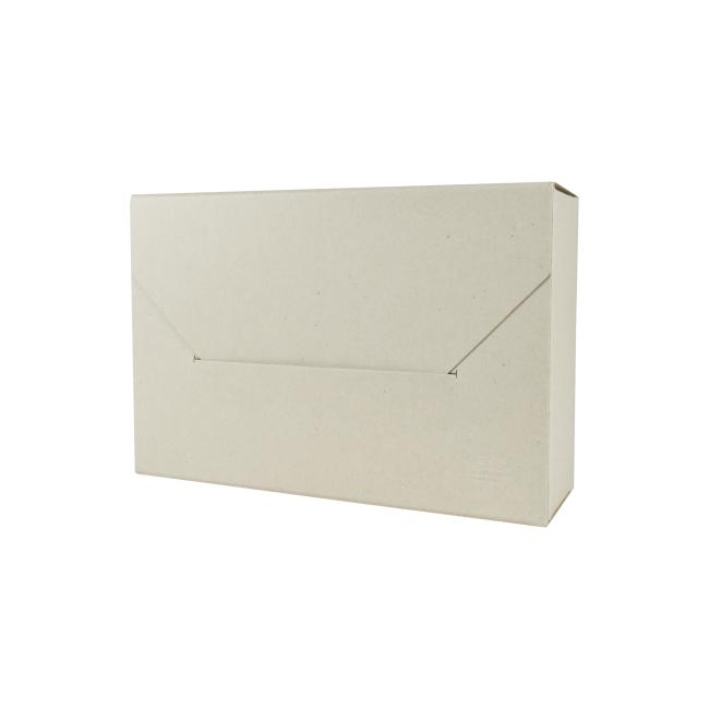 [EC410000] Archivbox EMBA Typ II/410 R:110x410x260 mm