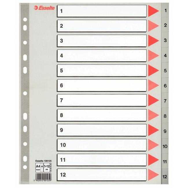 [ES100125] Kunststoff-Trennwand Esselte 1-12 Maxi Grau