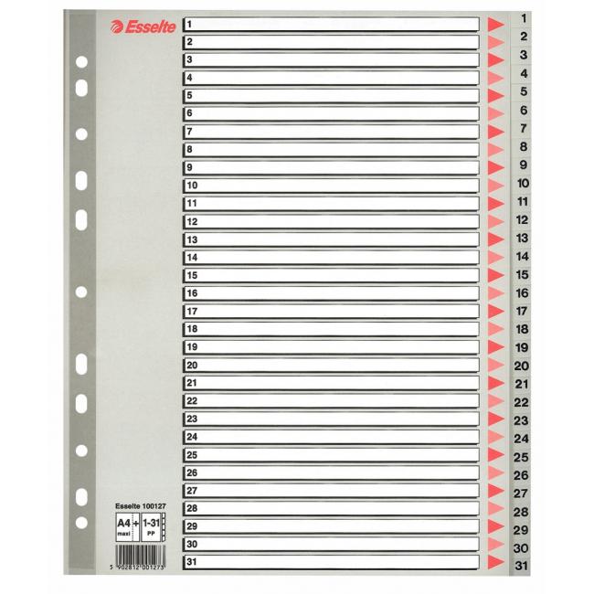 [ES100127] Kunststoff-Trennwand Esselte 1-31 Maxi Grau
