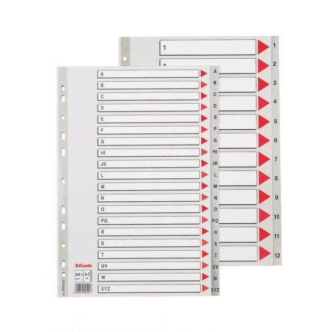 Esselte AZ Maxi-Aktenordner aus Kunststoff, grau