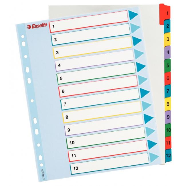 [ES100209] Esselte ProjectPro 1-12 Maxi-Papptrennwand