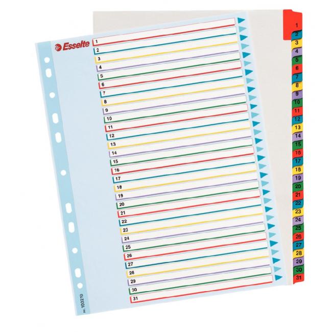 [ES100210] Esselte ProjectPro 1-31 Maxi-Papptrennwand