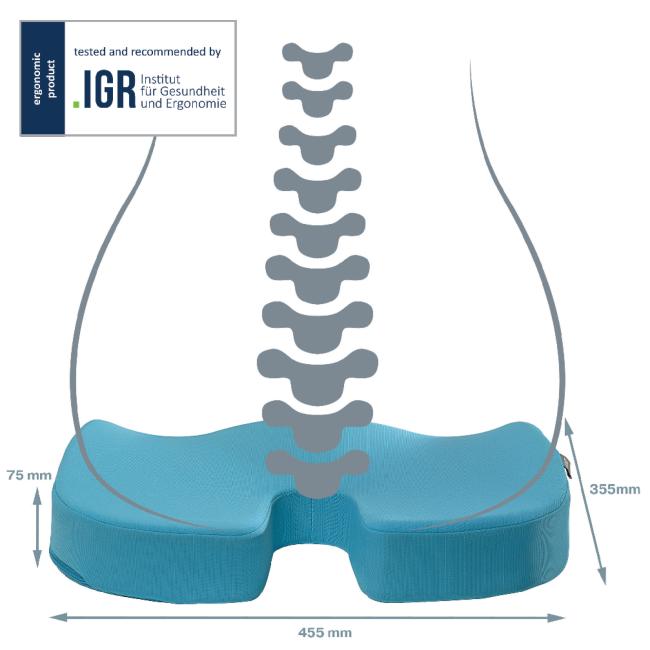 Leitz Cosy Ergo Sitzkissen, ruhigblau