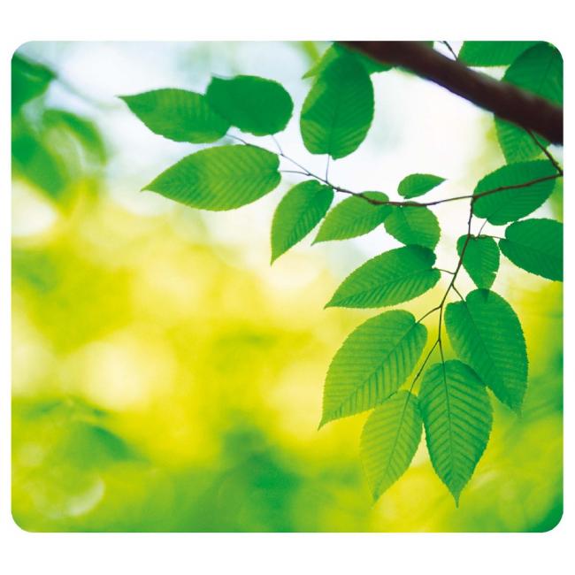 [FE590380] Mauspad Blätter