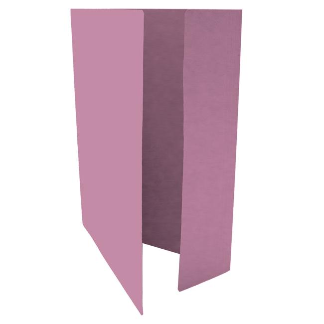 [HI013952] Aufbewahrungsmappe OM 251 Economy rosa