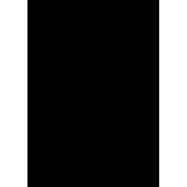 [HL227231] Herlitz-Zeichnungen, 50 x 70 cm, 10 Blatt, 300 g, schwarze Farbe