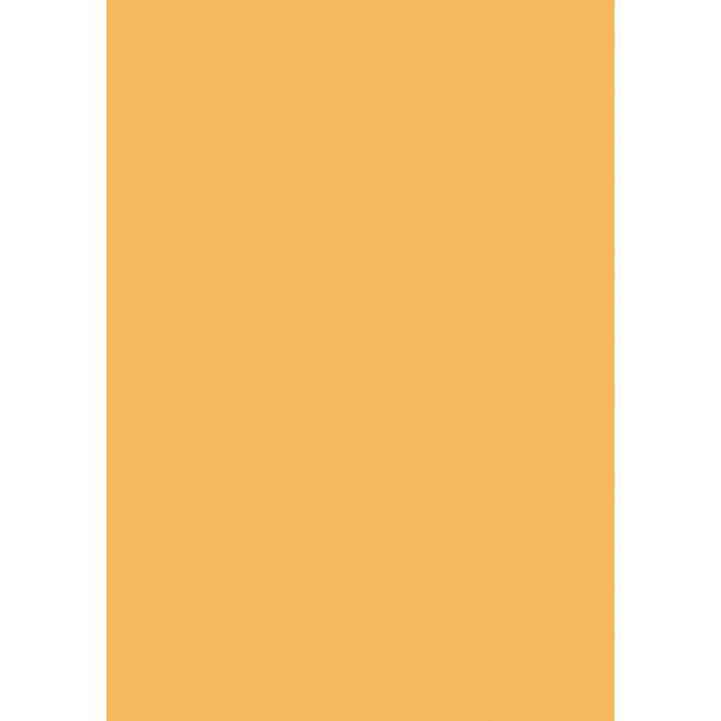 [HL227280] Herlitz-Zeichnungen, 50 x 70 cm, 10 Blatt, 300 g, aprikosenfarben